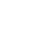 white bull